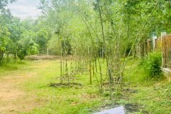 LINE_ALBUM_251168_251125_5