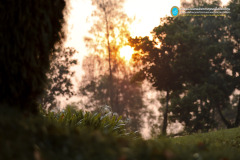 0A1ApM-454