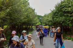 LINE_ALBUM_4-5-กค_260720_16