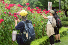 LINE_ALBUM_4-5-กค_260720_6