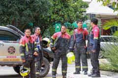 AP7A3296