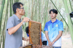 AI5A6336