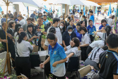 209A6161