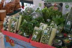 PHOTO-16