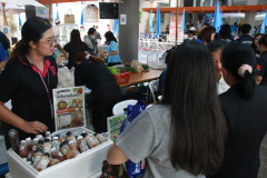 PHOTO-21
