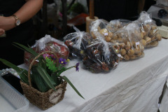 PHOTO-36