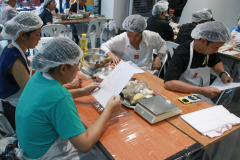 PHOTO-40