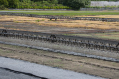 AI5A5068