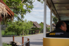 AI5A5071