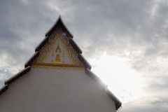 AI5A5261