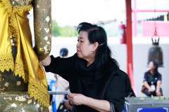 Resize-129