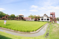 Resize-50