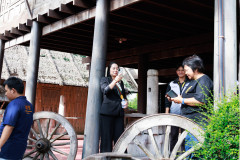 Resize-81