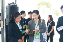 Resize-313