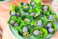 674440470_1926581261616611_8401618650261290295_n