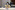 AP7A6646_resize