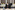 AP7A6652_resize
