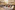AP7A1731_resize