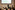 AP7A1823_resize