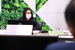 AP7A3399_resize