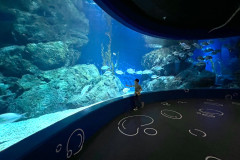 LINE_ALBUM_Sea-life_250321_13