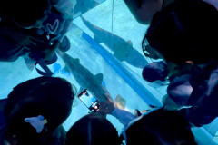 LINE_ALBUM_Sea-life_250321_61
