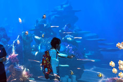 LINE_ALBUM_Sea-life_250321_62