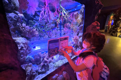 LINE_ALBUM_Sea-life_250321_67