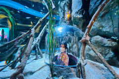 LINE_ALBUM_Sea-life_250321_84