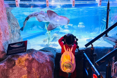 LINE_ALBUM_Sea-life_250321_86