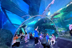 LINE_ALBUM_Sea-life_250321_96