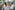 6P3A6942_resize