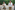 6P3A6957_resize