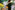 6P3A6995_resize