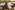 AP7A6418_resize