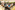 AP7A6437_resize