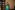 AP7A6450_resize