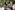 AP7A6551_resize