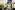 AP7A6576_resize