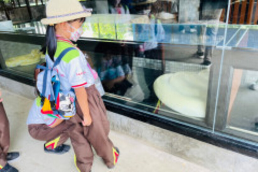 ทัศนศึกษา2565-70