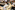 AP7A7873_resize