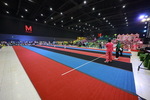 241_resize