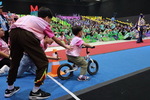 294_resize
