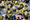 108_resize