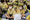 110_resize