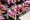 114_resize