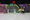 131_resize