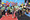 337_resize