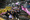 461_resize