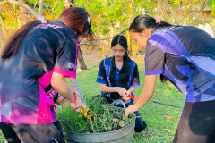 LINE_ALBUM_เกษตร220169_260123_165